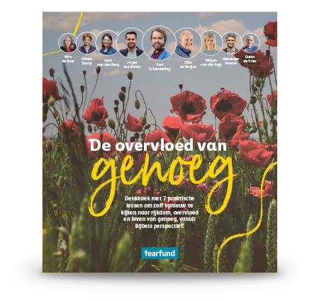 afbeelding van het boek